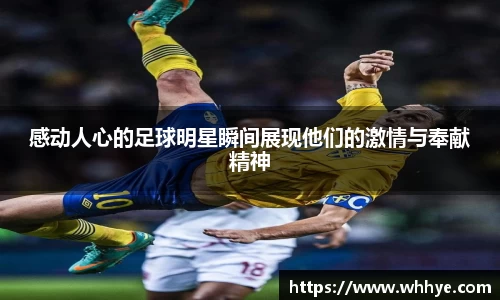 必一运动bsport体育